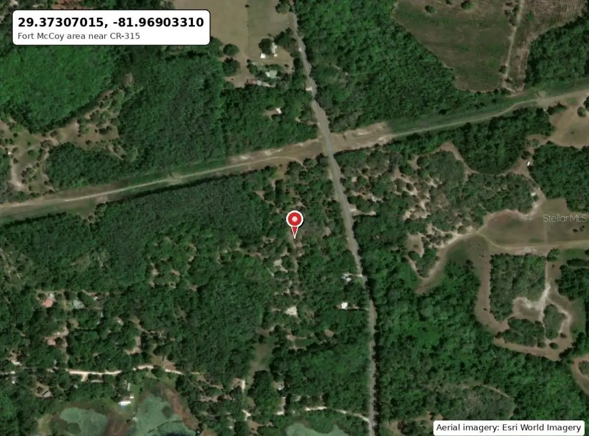 No Situs, Fort McCoy Anthony, FL 32134 - #1