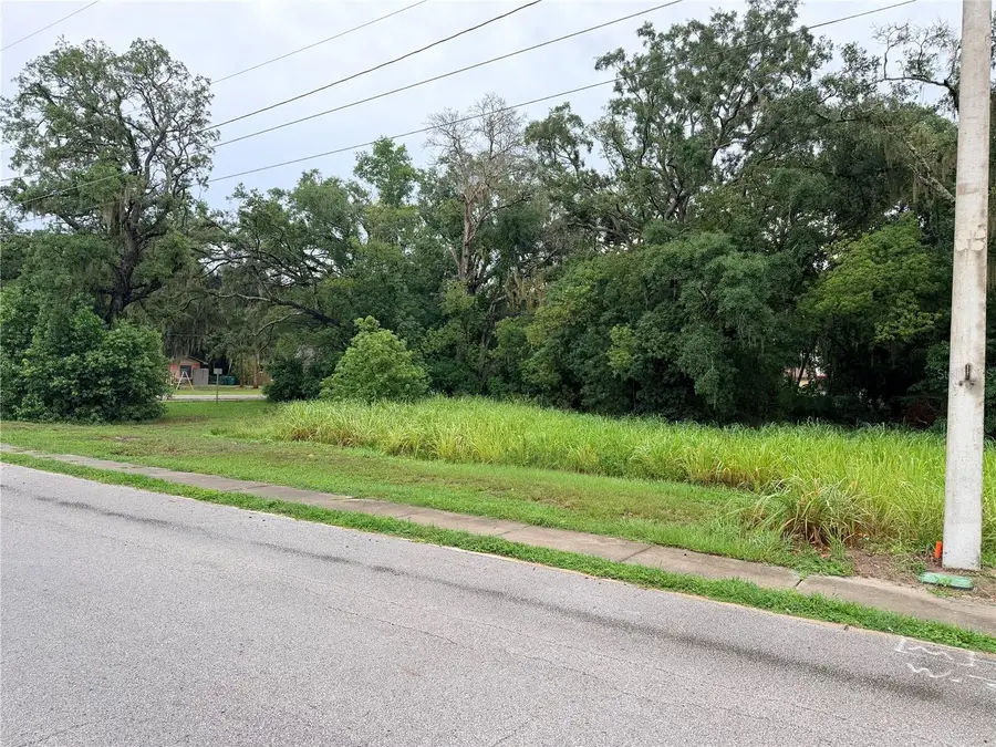 0 N Clayton Street, Mount Dora, FL 32757 - #2