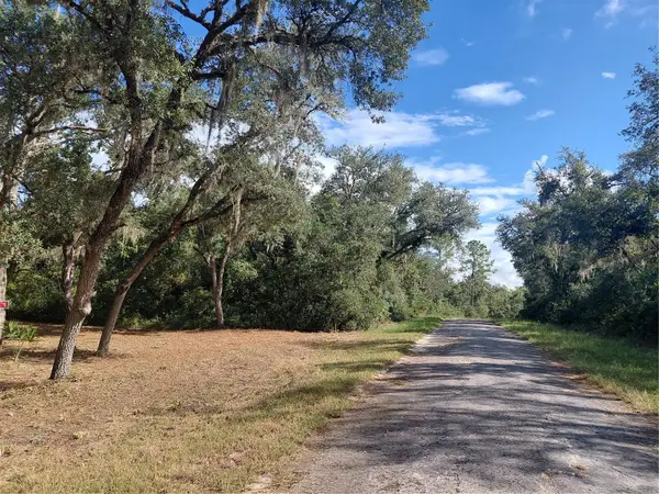 Grindstone Drive, WEBSTER, FL 33597