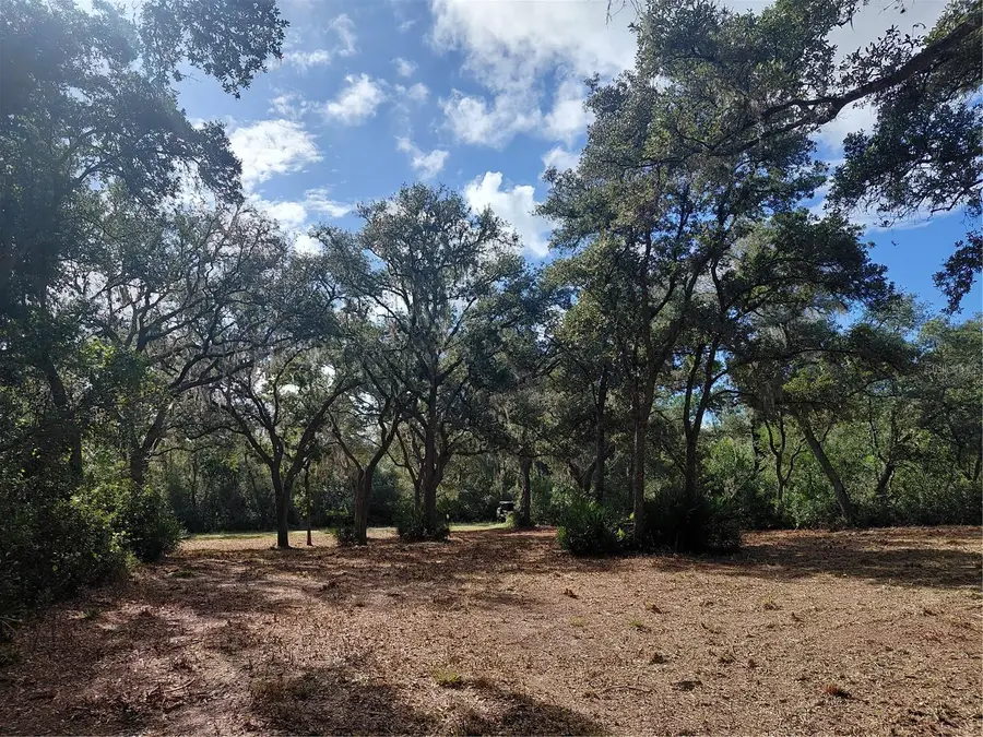 Grindstone Drive, Webster, FL 33597 - #2