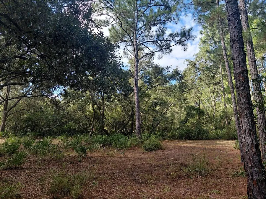 Grindstone Drive, Webster, FL 33597 - #3