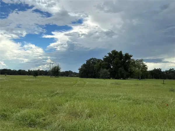 Water Crest Court, GROVELAND, FL 34736