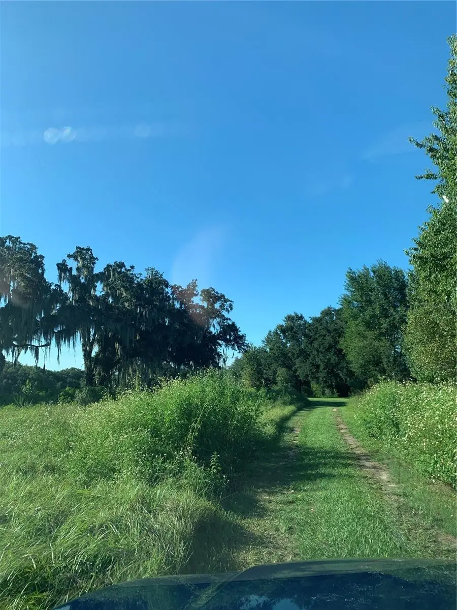 1271 N Florida Avenue, Hernando, FL 34442 - #3