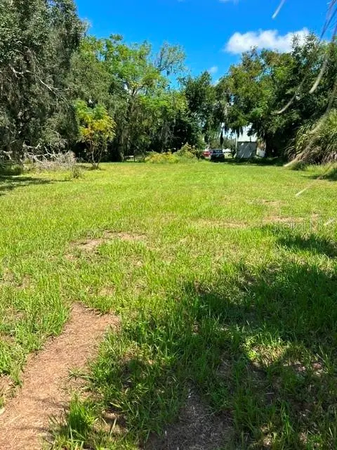 19 W Badger Avenue, Eustis, FL 32726 - #1