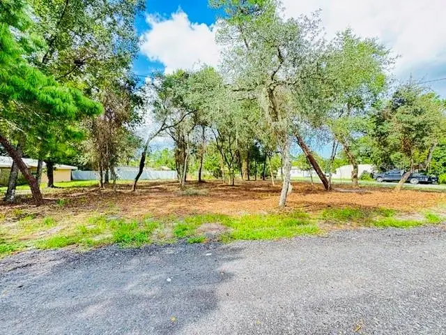 Luella Avenue, Paisley, FL 32767 - #2