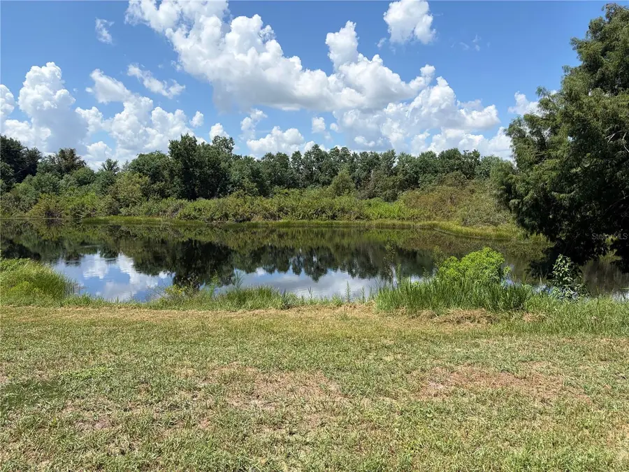 34205 Radio Road, Leesburg, FL 34788 - #2