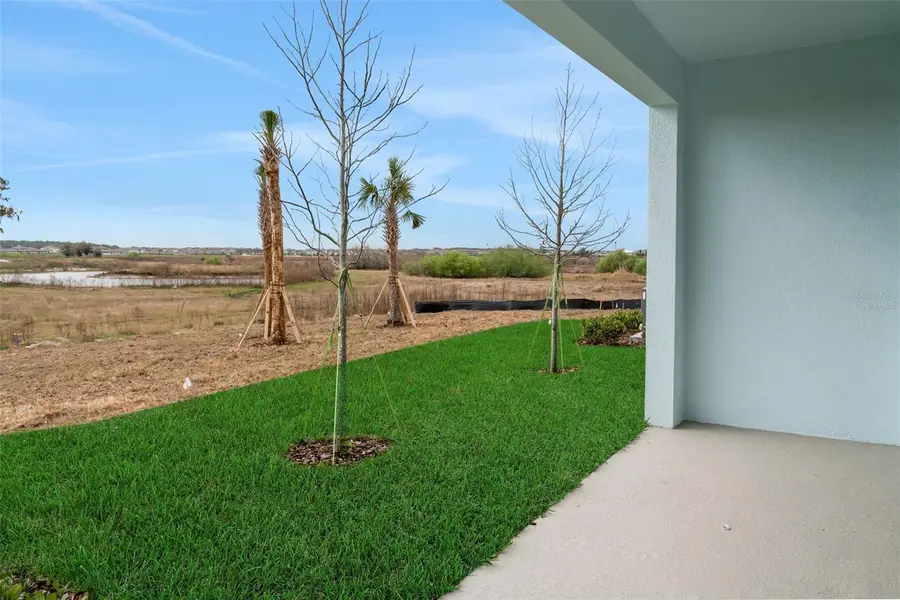 31795 Kestrel Calling Drive, San Antonio, FL 33576 - #3