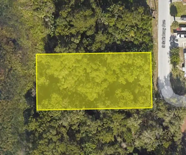 916 S Salisbury Avenue, DELAND, FL 32720