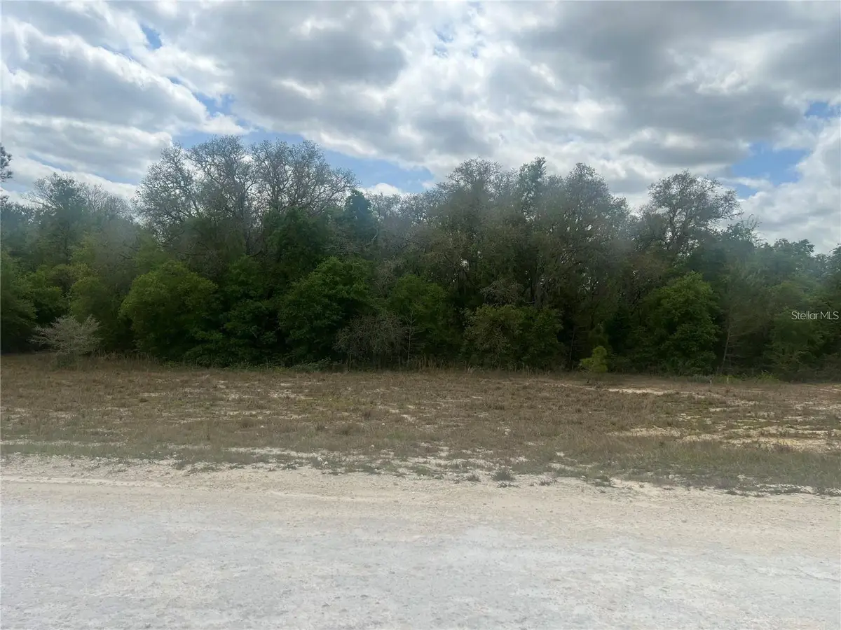 Cleft Rock St, Webster, FL 33597 - #1