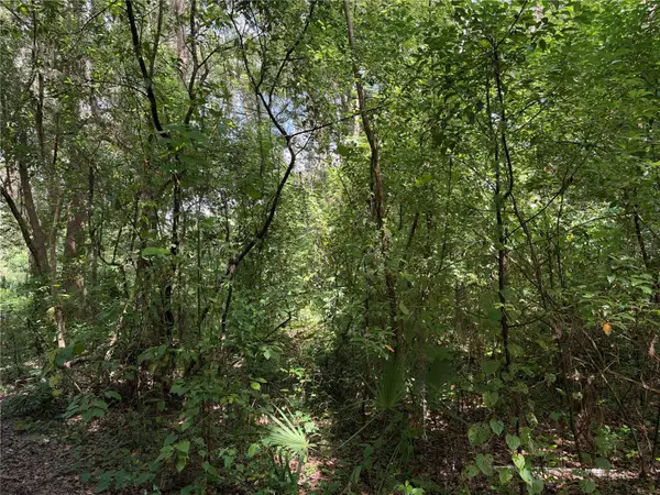 0 Se 118th Place, BELLEVIEW, FL 34420