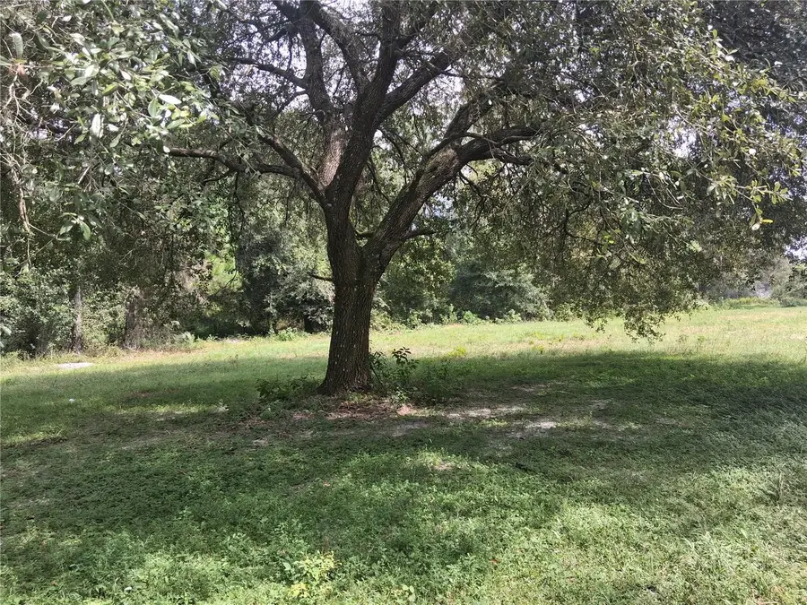 9278 Cr 734, Center Hill, FL 33514 - #3