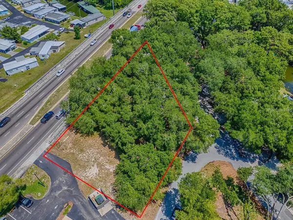 Lion Lane, TAVARES, FL 32778