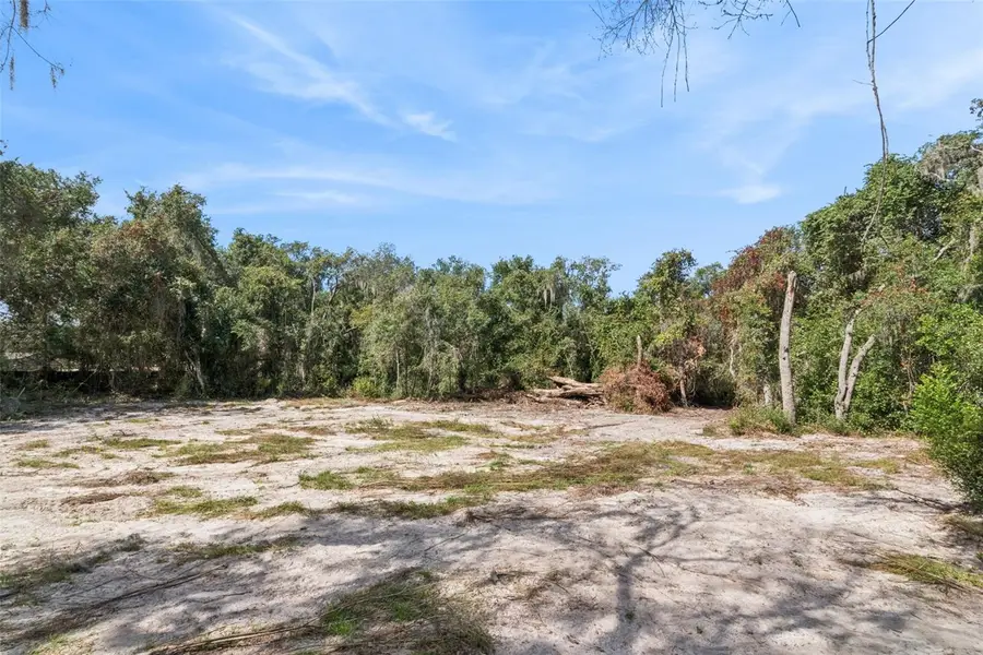 Bethune Street, Leesburg, FL 34788 - #2