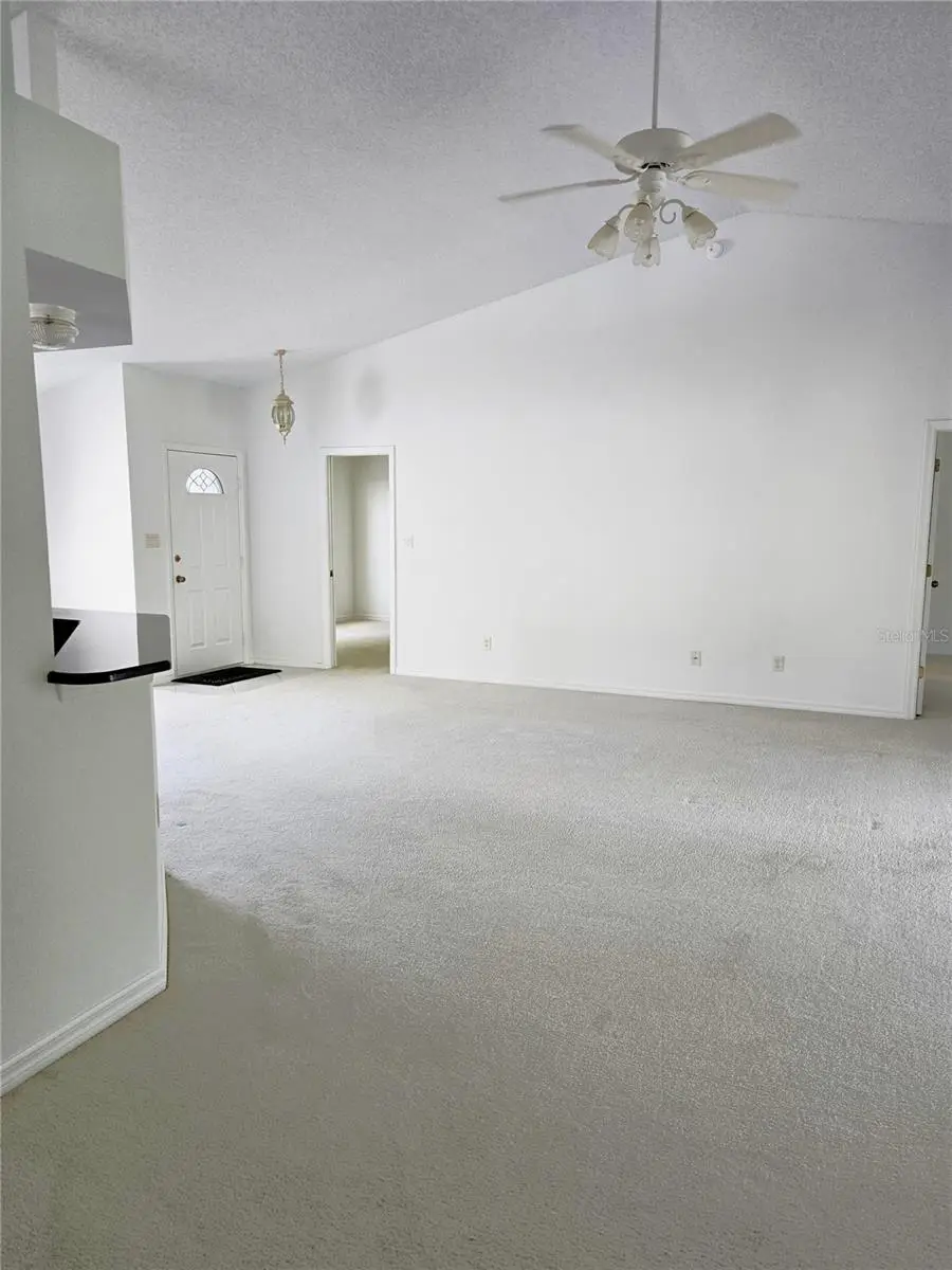 25419 Crestwater Drive Drive, Leesburg, FL 34748 - #2