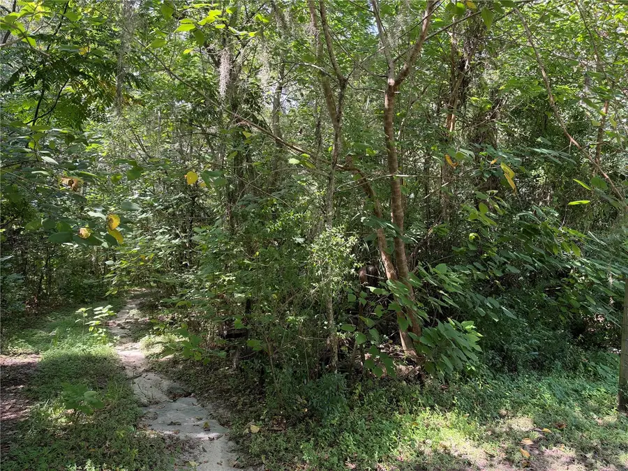 0 Se 118th Place #105, Belleview, FL 34420 - #2