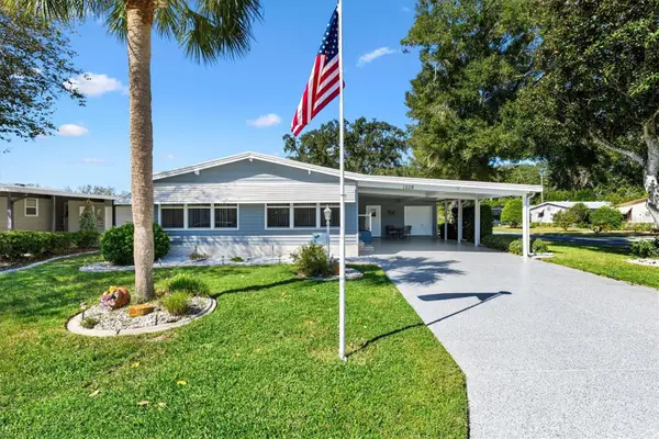 1228 Palmetto Drive, LADY LAKE, FL 32159