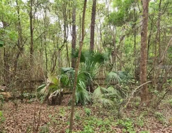 15363 SE 156th Place Road, WEIRSDALE, FL 32195