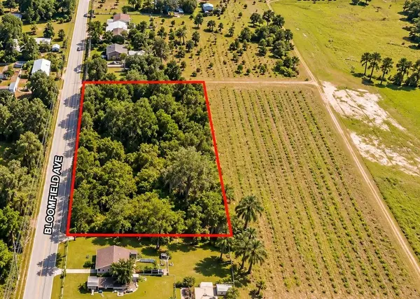 26714 Bloomfield Avenue, YALAHA, FL 34797