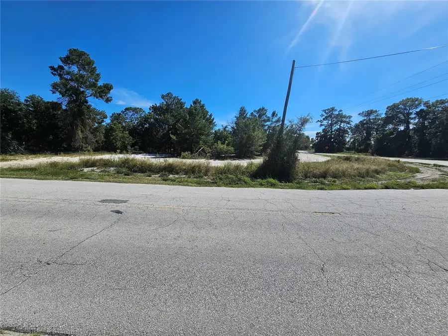 Northern Avenue, Leesburg, FL 34788 - #3