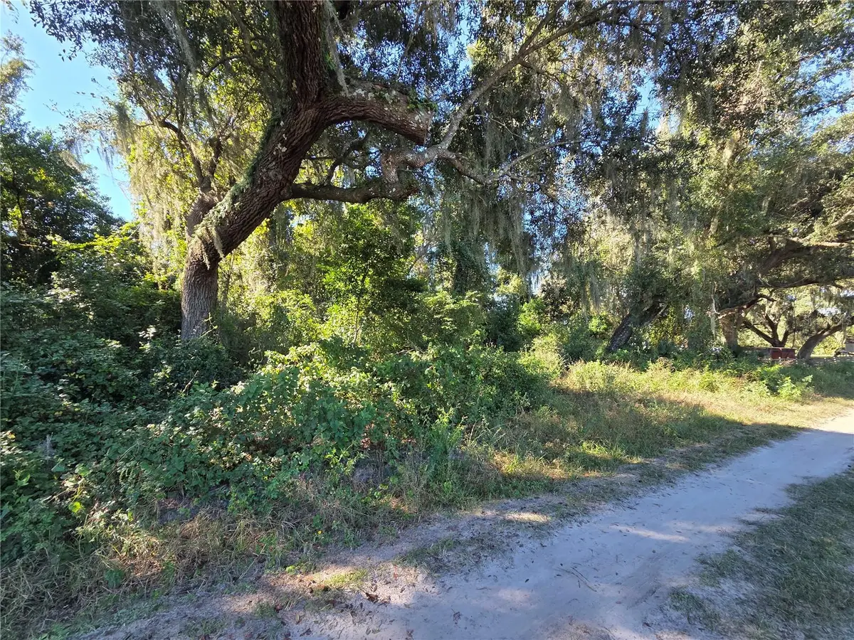 6605 SE 55th Avenue, Center Hill, FL 33514 - #1