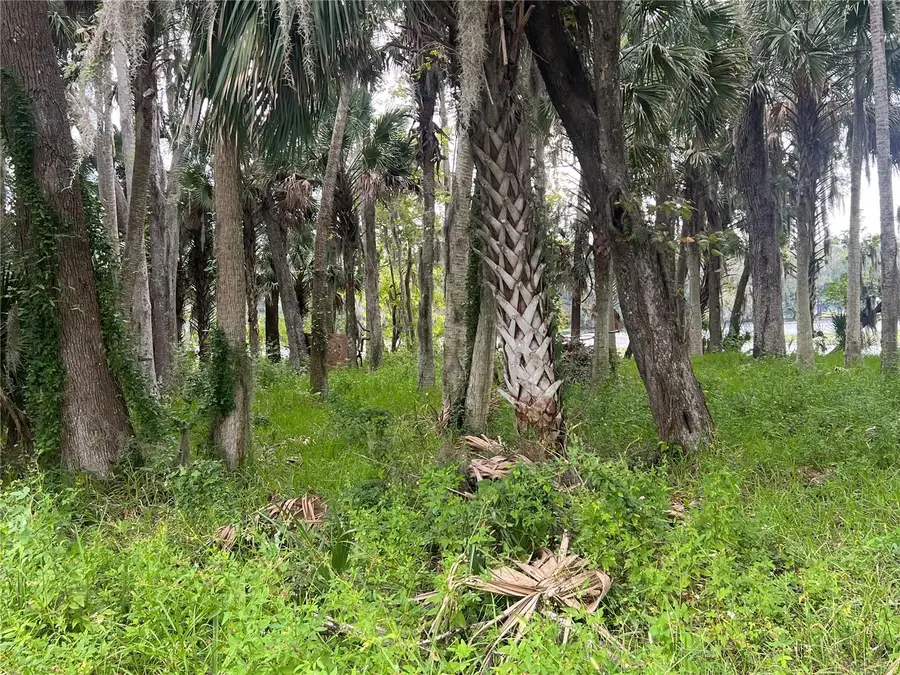 Hickory Road, Astor, FL 32102 - #2