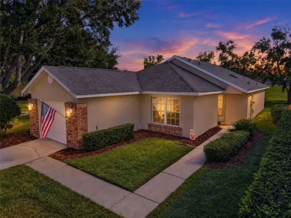 3032 Andover Court, MOUNT DORA, FL 32757
