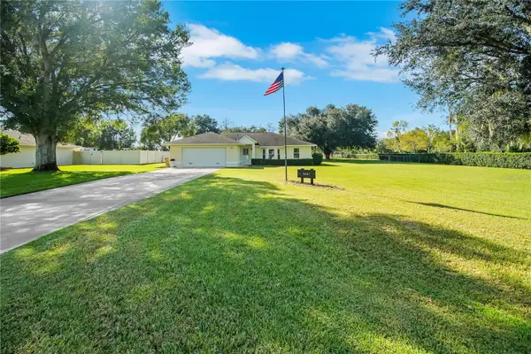 36541 Mill View Road, FRUITLAND PARK, FL 34731