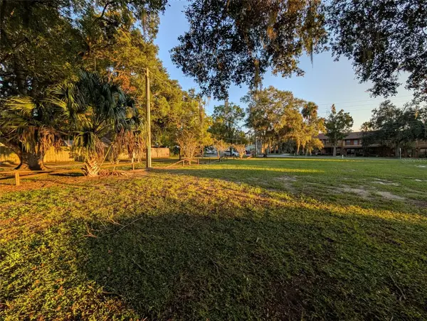 731 Liberty Avenue, MOUNT DORA, FL 32757