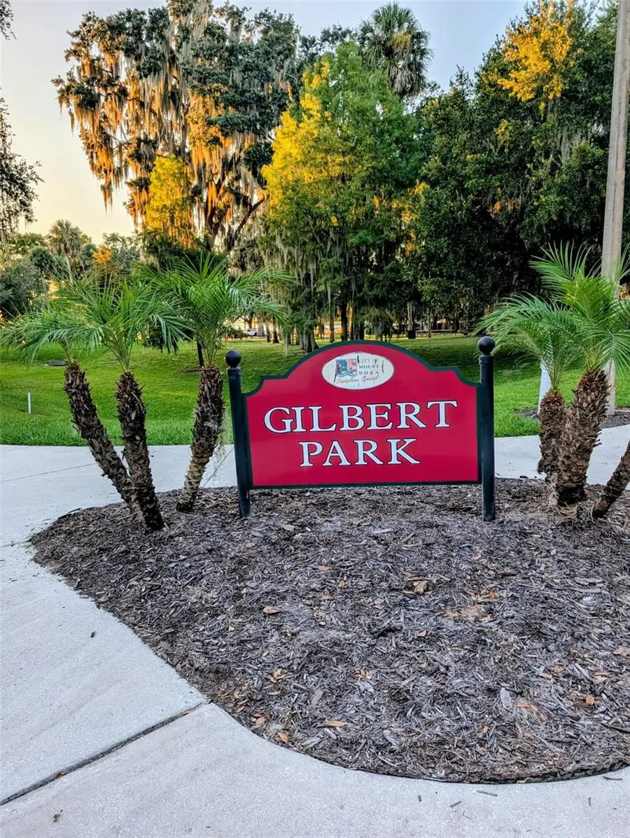 731 Liberty Avenue, Mount Dora, FL 32757 - #3