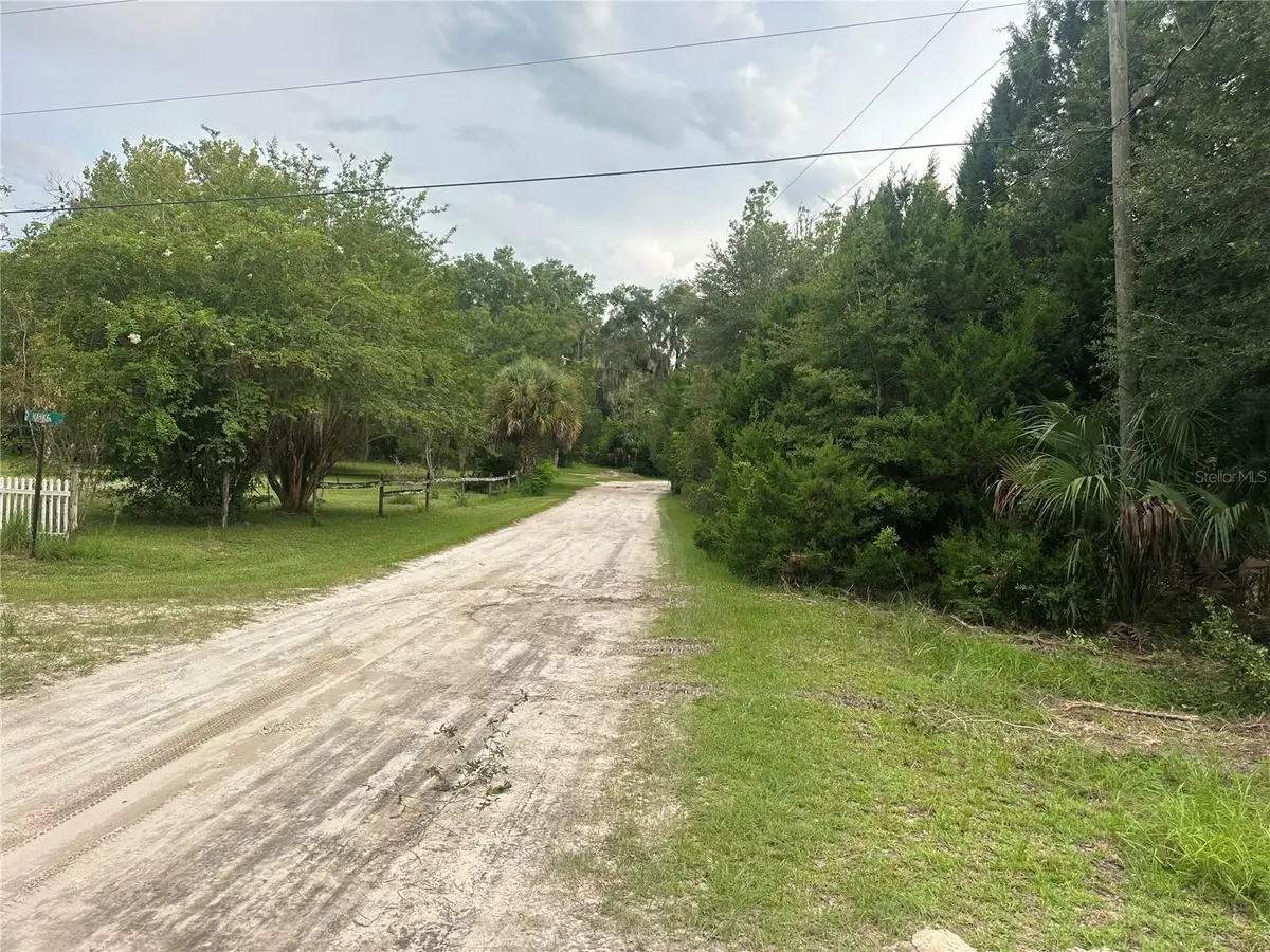 11356 N Young Drive, Dunnellon, FL 34433 - #1