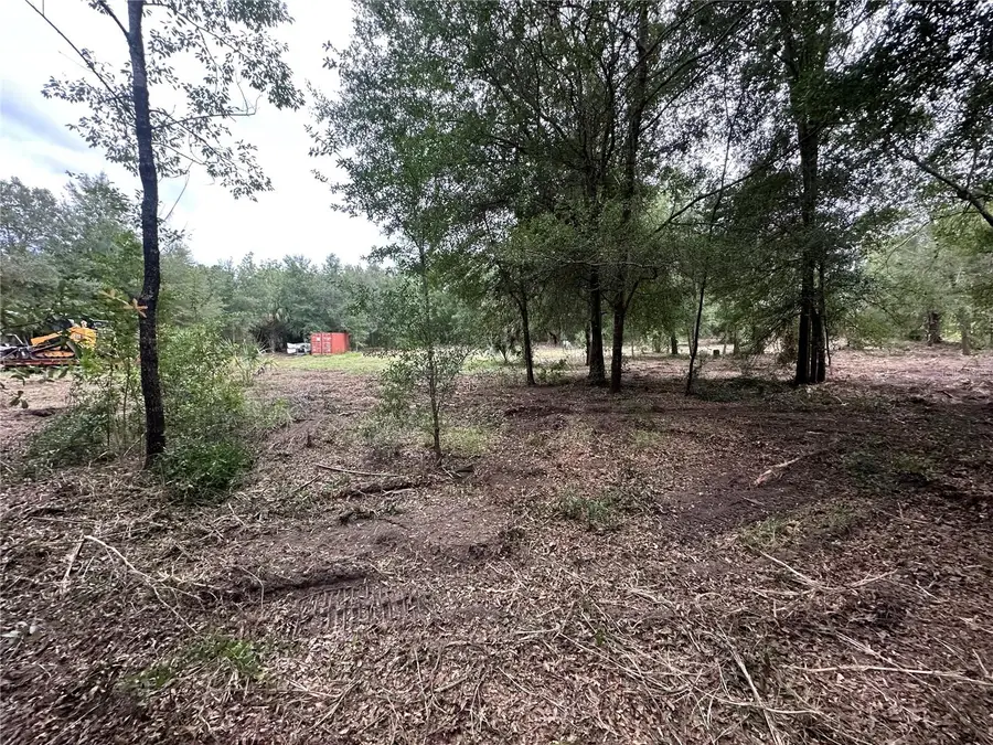 11356 N Young Drive, Dunnellon, FL 34433 - #2