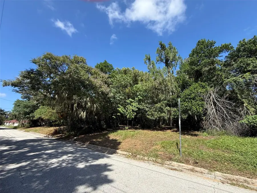 Morningside Drive, Eustis, FL 32726 - #3