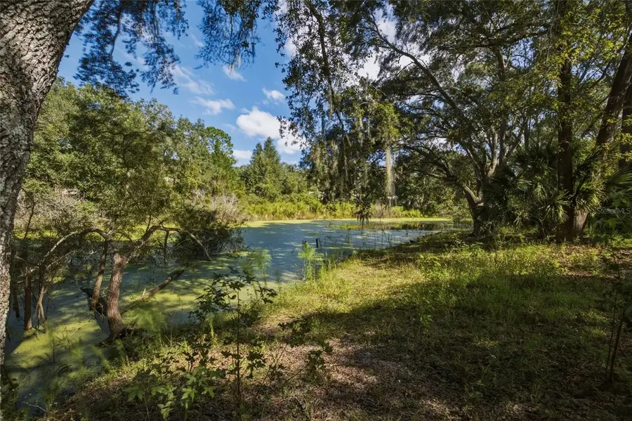 4854 SW 123rd Road, Webster, FL 33597 - #2
