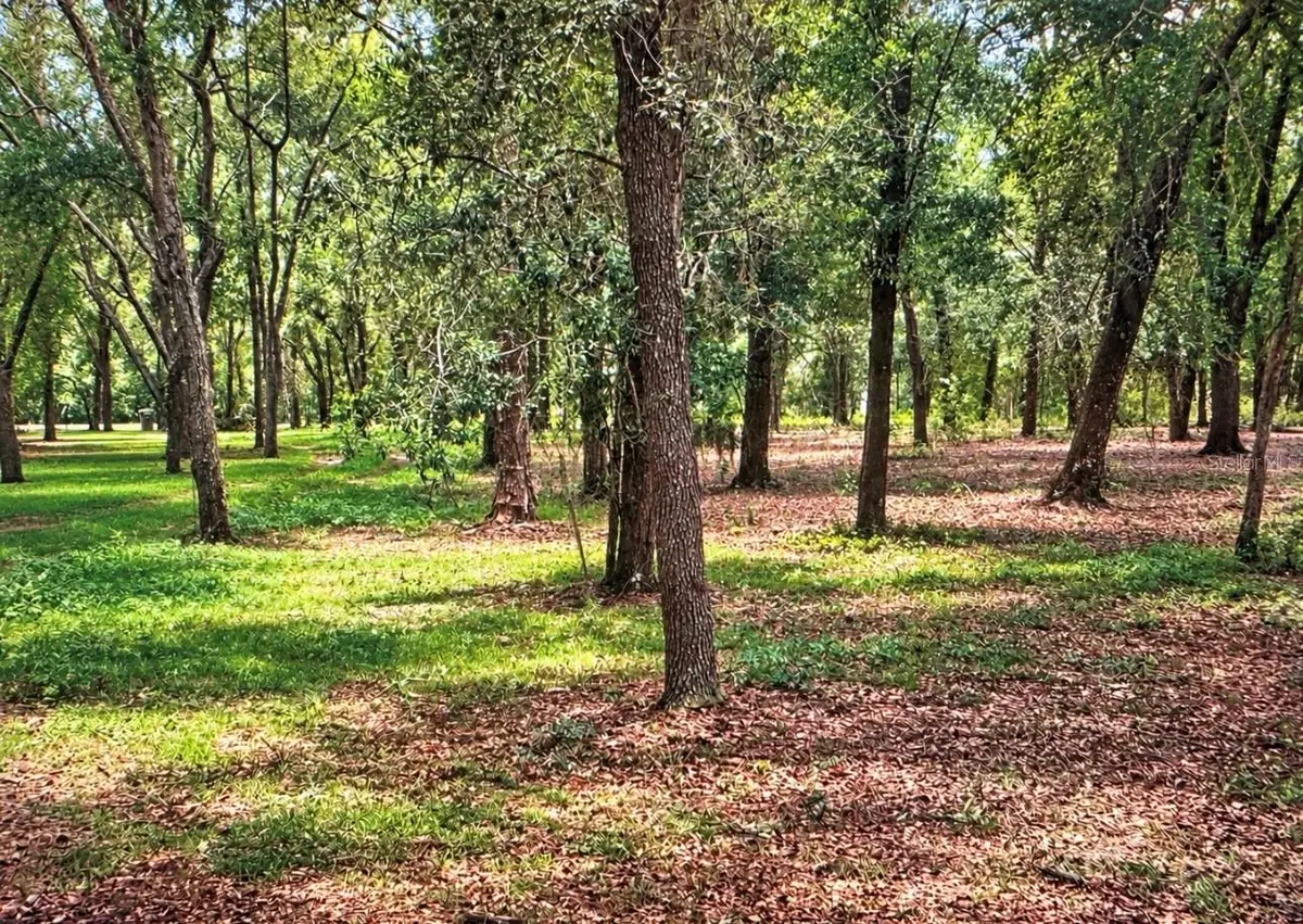 Rolling Acres Road, Lady Lake, FL 32159 - #1