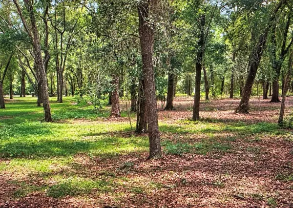 Rolling Acres Road, LADY LAKE, FL 32159