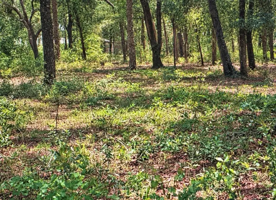 Rolling Acres Road, Lady Lake, FL 32159 - #2