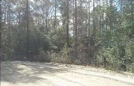 TBD Se 213th Terrace Ne, UMATILLA, FL 32784