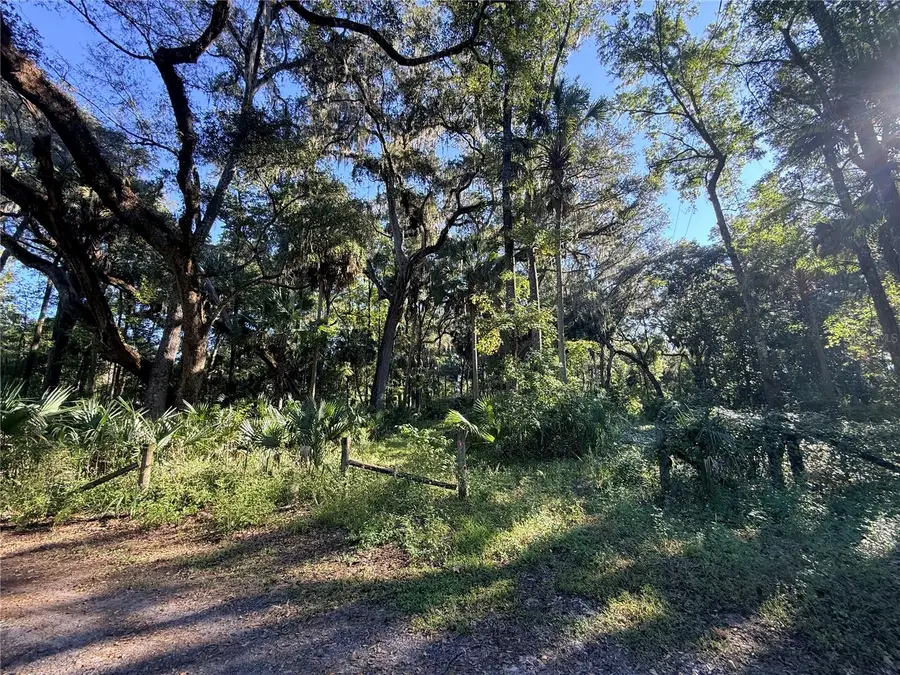 2701 NE 175th Street Road, Citra, FL 32113 - #3