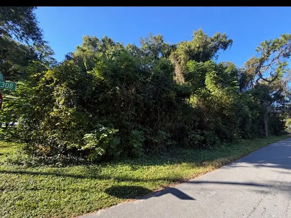 3711 Cr 230b, WILDWOOD, FL 34785