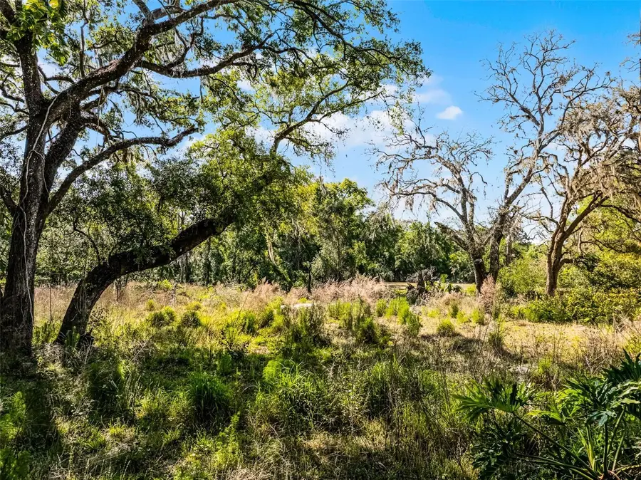 3633 Panther Path Road, Lutz, FL 33559 - #3