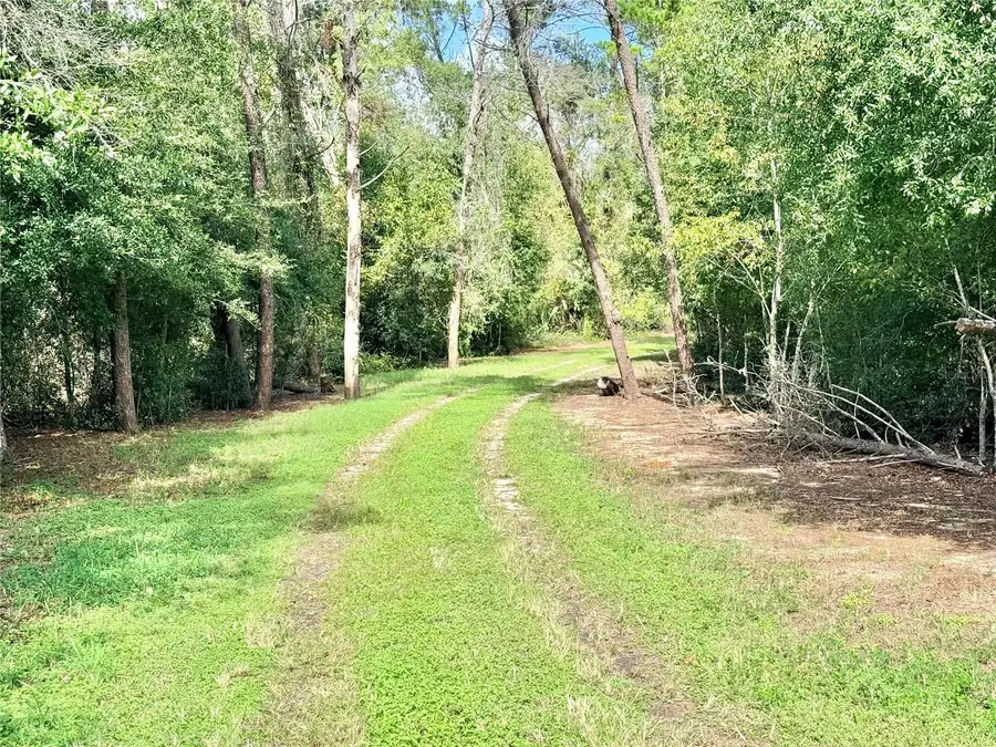 10933 N Em En El Grove Road, Leesburg, FL 34788 - #3