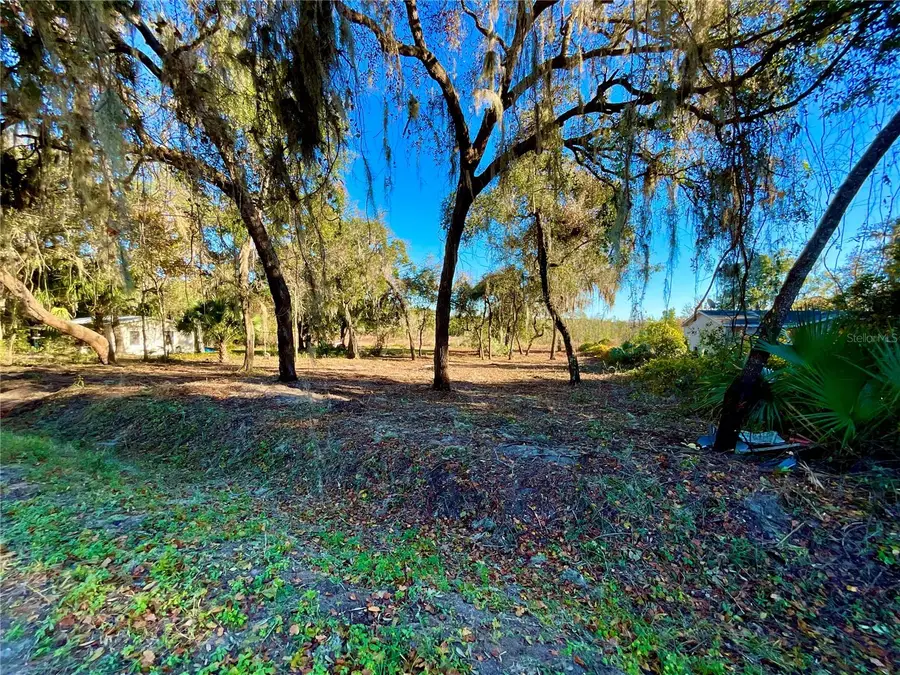 Lot 66 & Lot 67 Ashley Street, Hawthorne, FL 32640 - Image #2