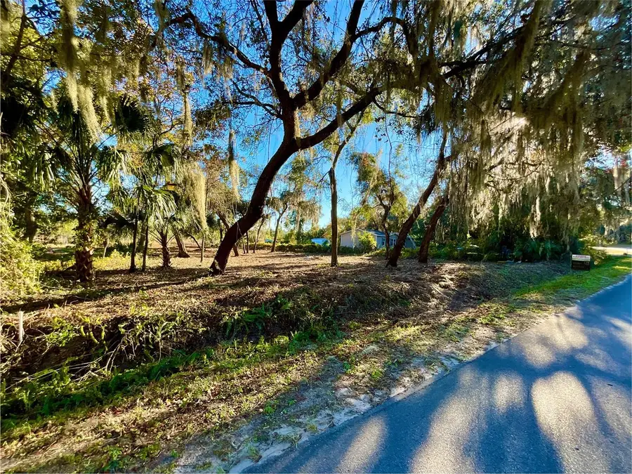 Lot 66 & Lot 67 Ashley Street, Hawthorne, FL 32640 - Image #3
