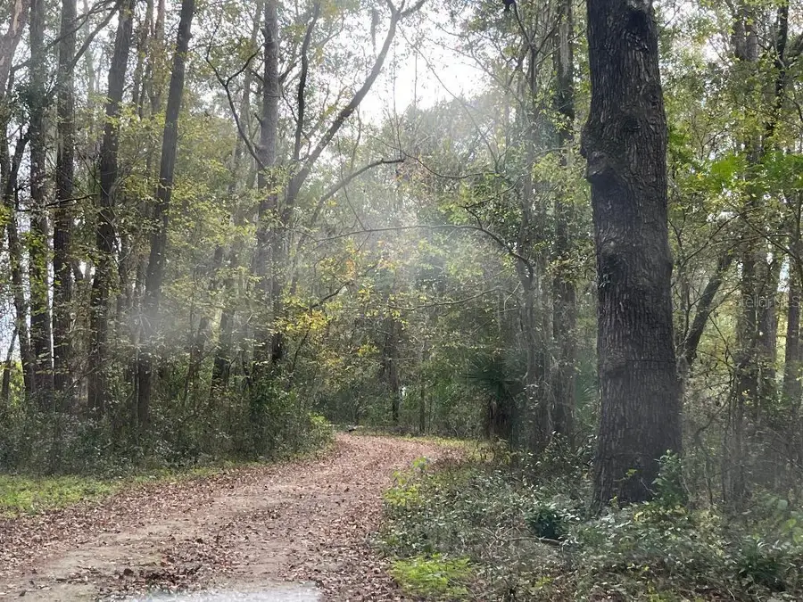 1602A SW Williston Road, Gainesville, FL 32608 - Image #2