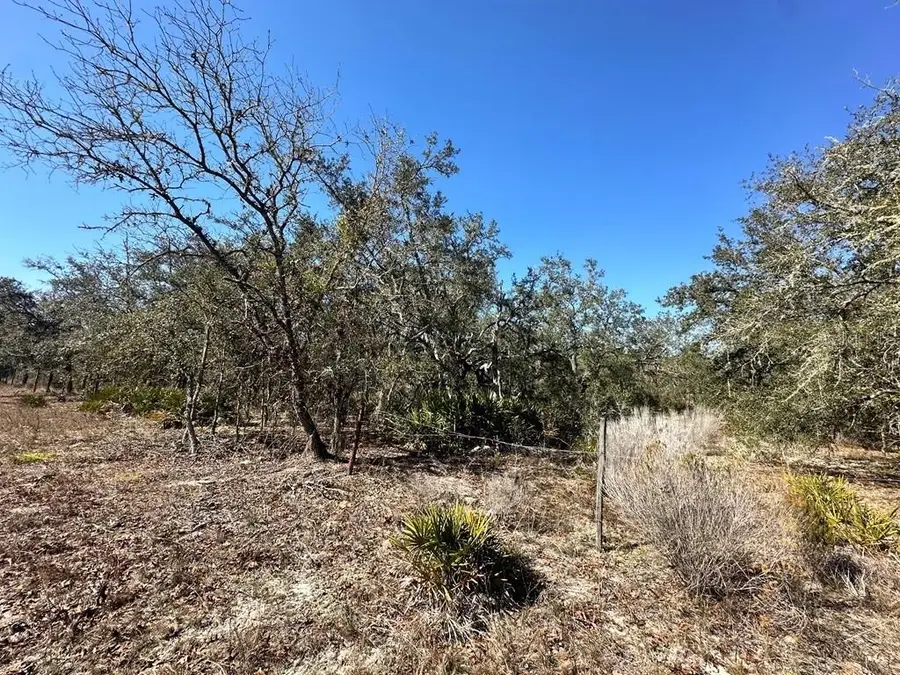 NE 69th Street, Williston, FL 32696 - Image #2