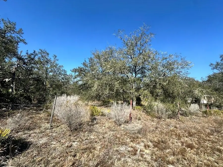 NE 69th Street, Williston, FL 32696 - Image #3