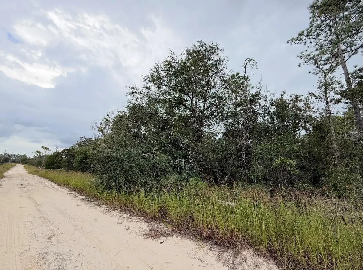 NE 66th Lane, Williston, FL 32696 - Image #1