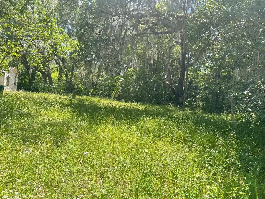 21646 NW 58th Court, Micanopy, FL 32667 - Image #2