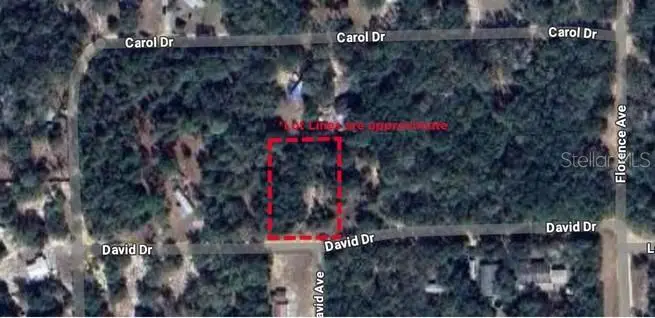TBD David Drive, Interlachen, FL 32148 - Image #1