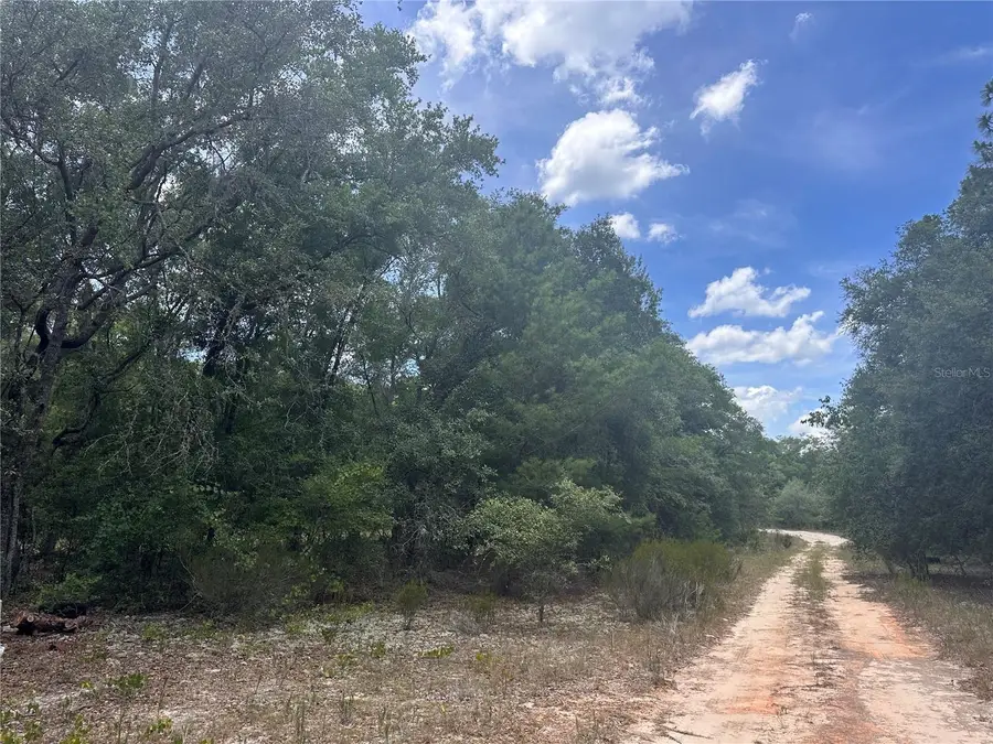 221 Indianapolis Street, Hawthorne, FL 32640 - Image #2